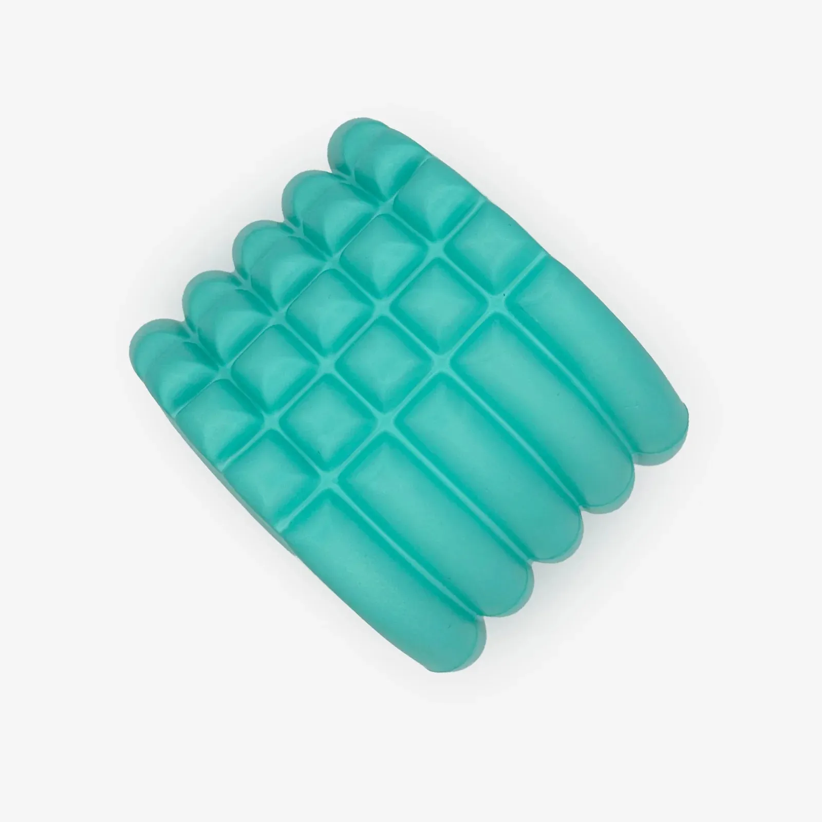 Foam Roller (AC55)