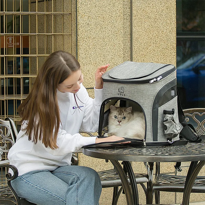 Travel Bag Pet Sports Backpack Portable Collapsible Breathable Cattery Pet Backpack Medium Cat Dog Backpacks Bag Cat Toy